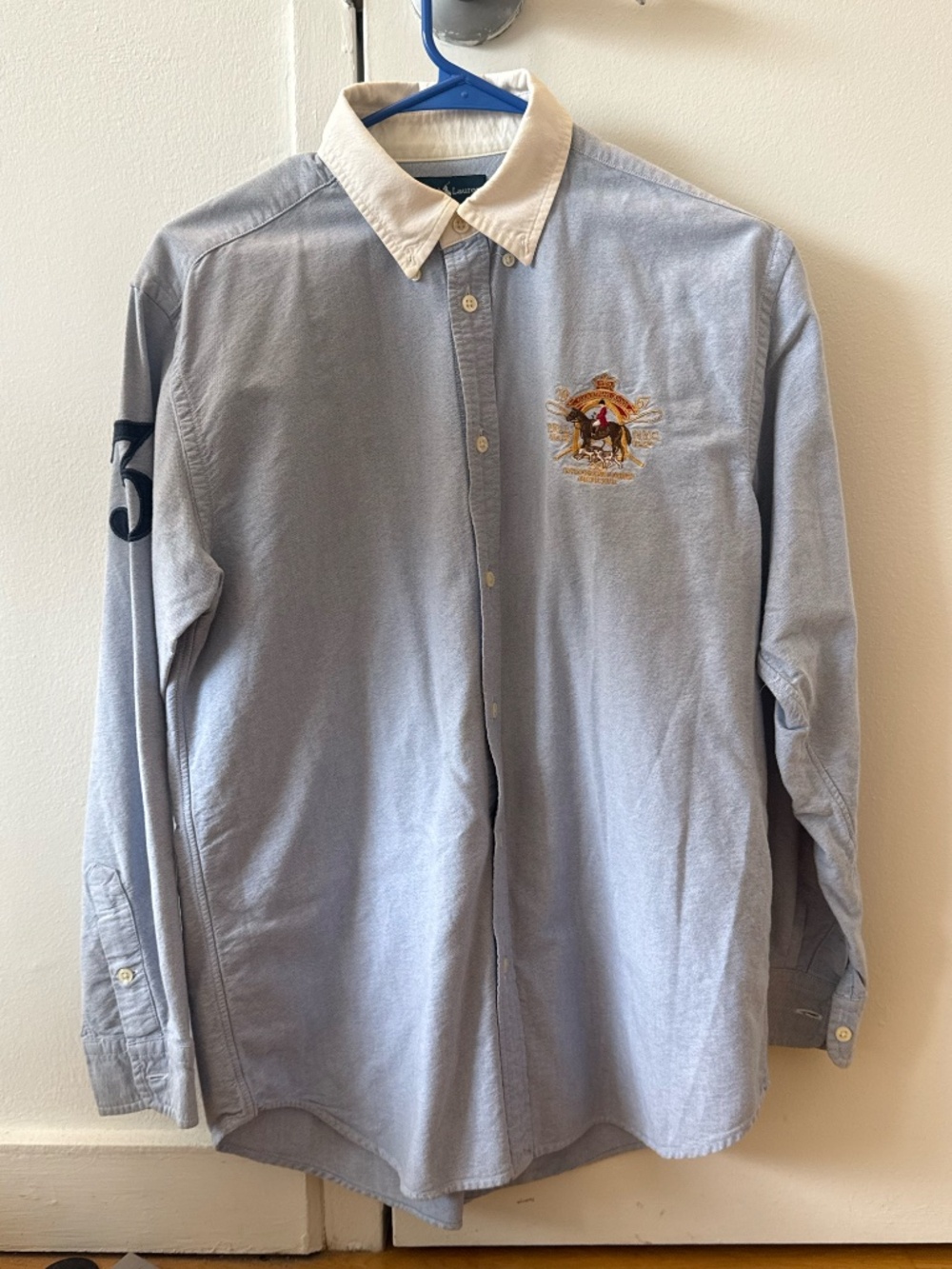 Polo Ralph Lauren Boy's Embroidered Rugby Button Down (XL 20)
